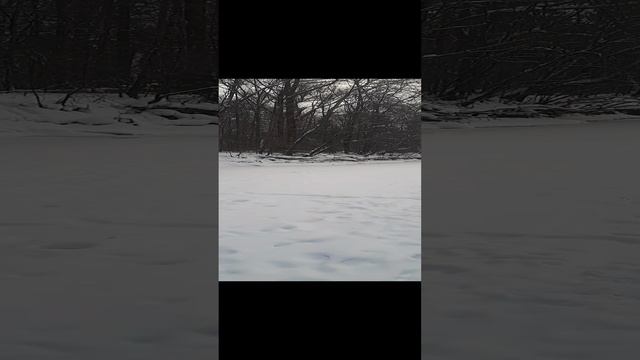20250110_164658.mp4