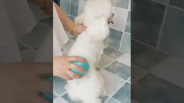 Pet Dog Shampoo Massager Brush