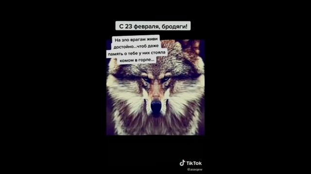 Цитаты волков 🐺