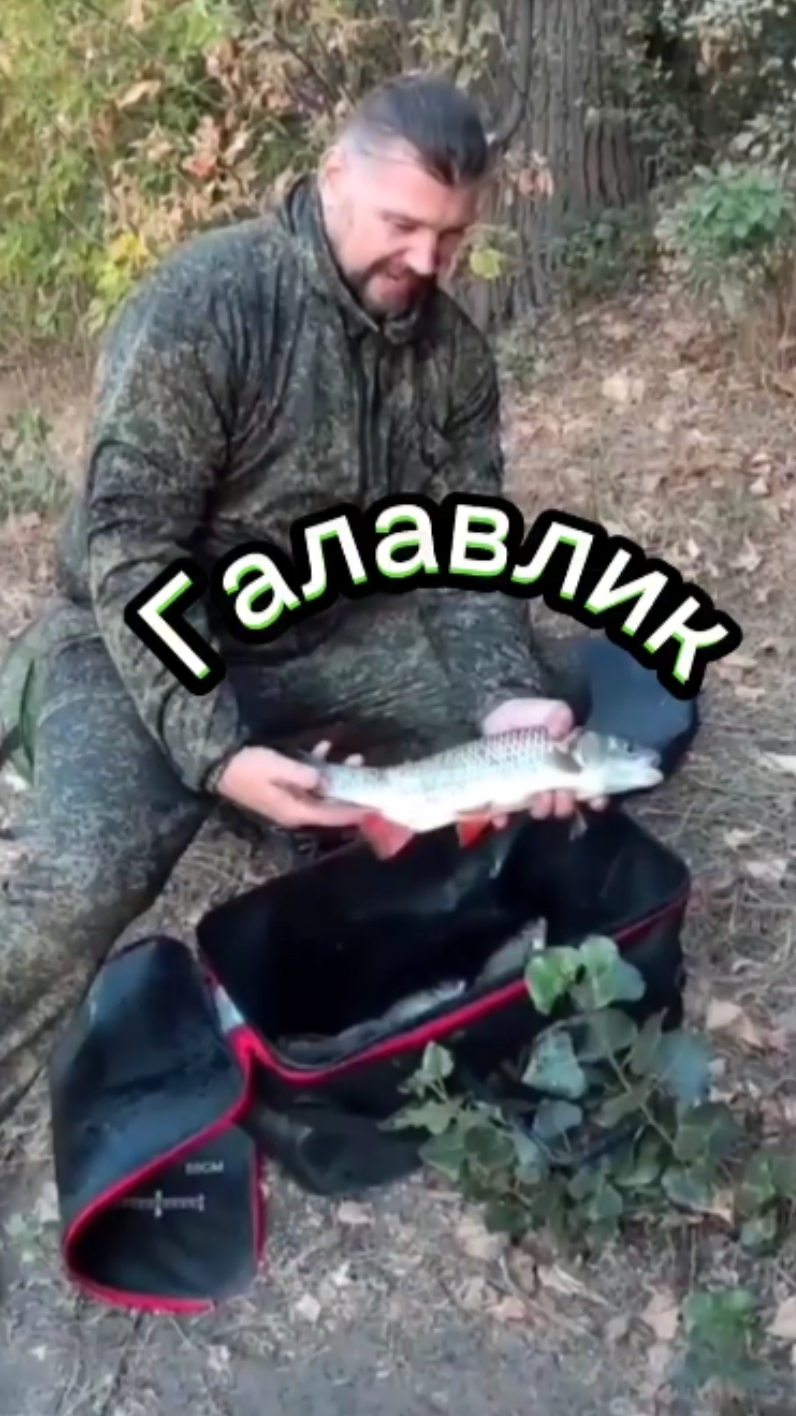 Замечательный улов