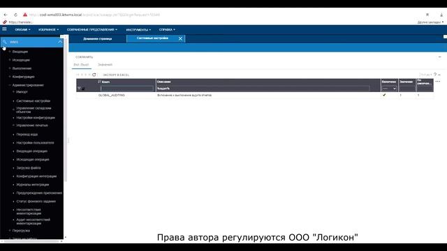 Аудит окна и документов в Инфор WMS 11.0.3 _ Audit of windows and documents in Infor WMS 11.0.3