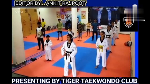 tiger taekwondo club morena coach vinod kushwah 🇮🇳🥋🐯