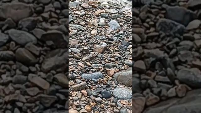 BEACHSTONES #beach #stones #asmr #satisfying #kapitanaganders #shorts #viral