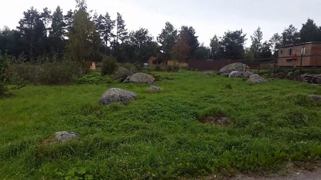 Кротово. Сентябрь 2017. 2 часть