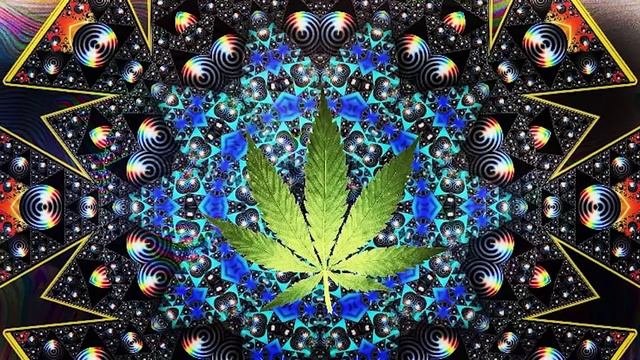 Psytrance Experience - Cannabis Control 👽 Space Hemp  T.H.C. mix 2023