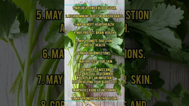 HEALTH BENIFITS OF CORIANDER LEAVES🍀#shorts#youtubeshorts#short#trending#simple livingwisethinking