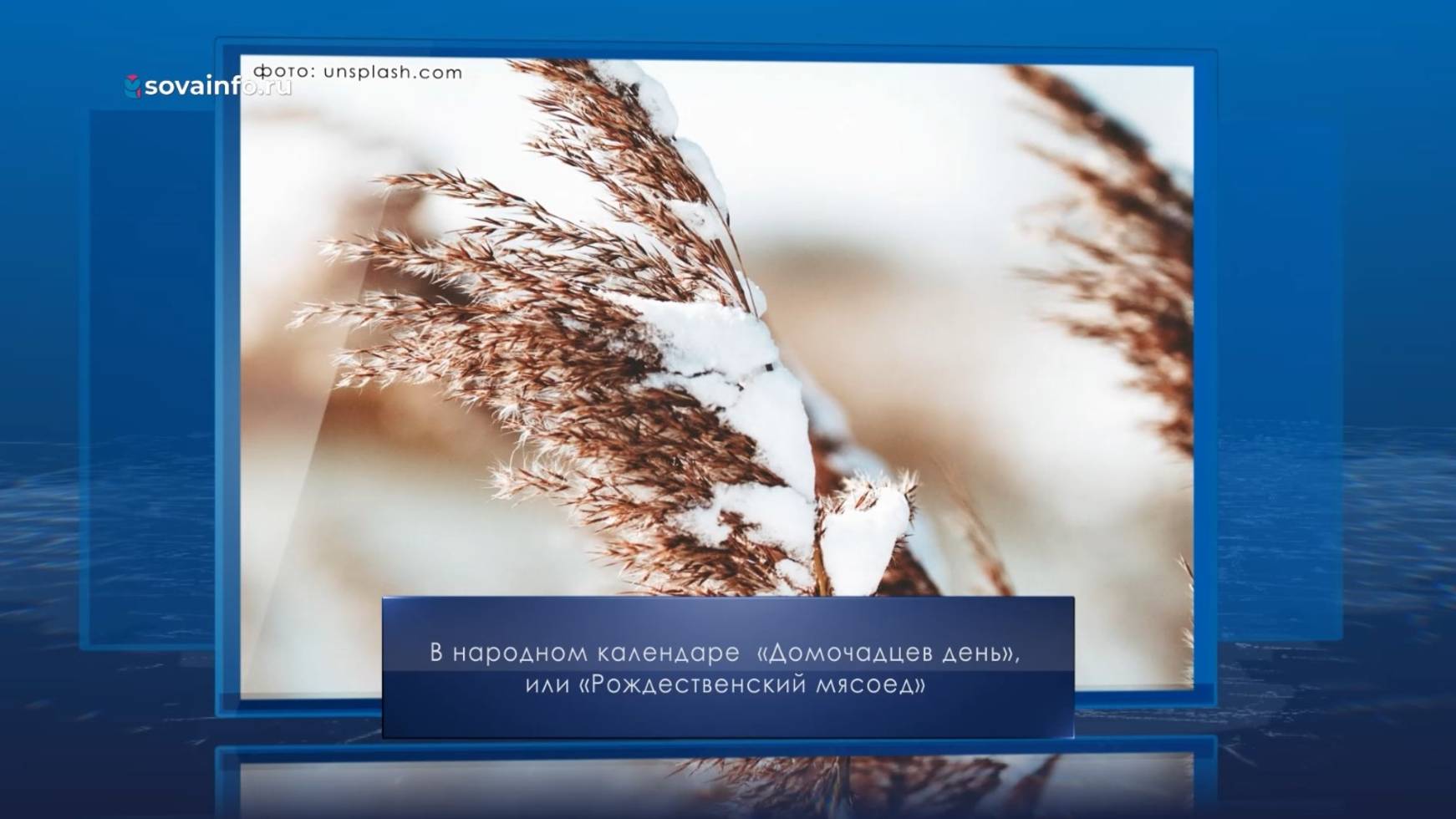 Рождественский мясоед. Календарь Губернии от 10 января