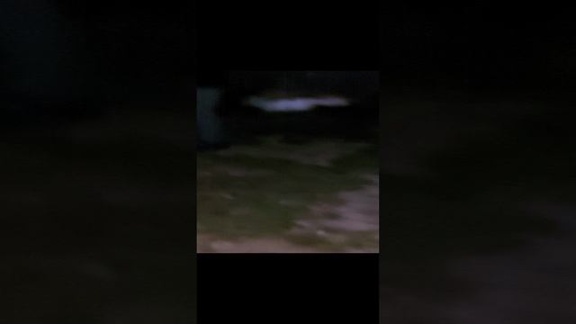 1000069228.mp4
