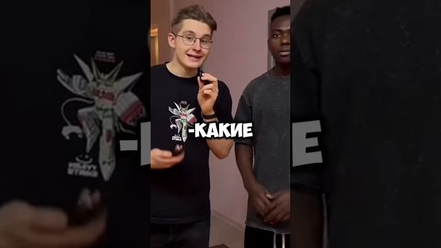 любимые блогеры