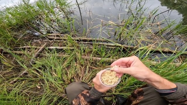 РЫБАЛКА НА ПОПЛАВОЧНУЮ УДОЧКУ