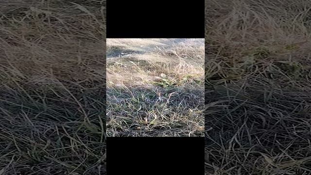 ты меня не забывай