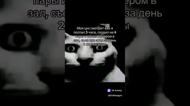 Рутина