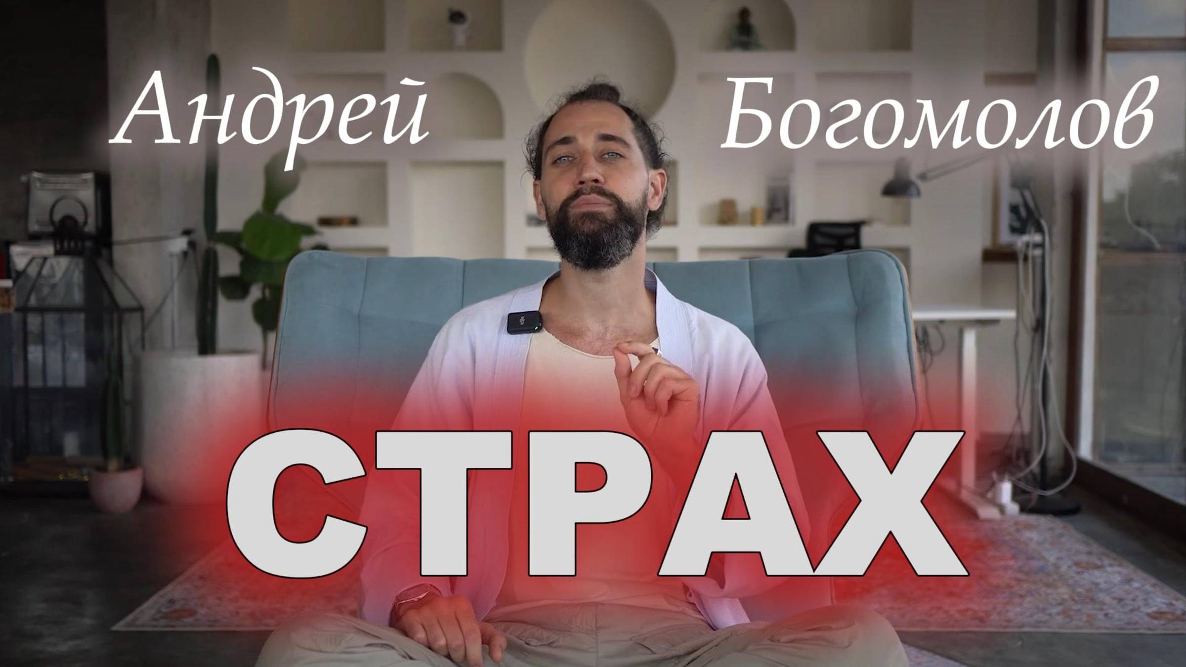 Полюбить свои страхи и начать действовать. Метаметод Андрея Богомолова