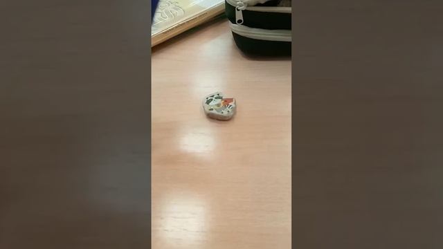 клей бьёт ластик