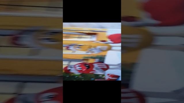 VID_20250110_164851.mp4