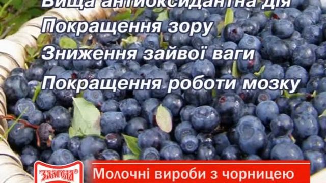 Молочная продукция с черникой. ТМ "Злагода"