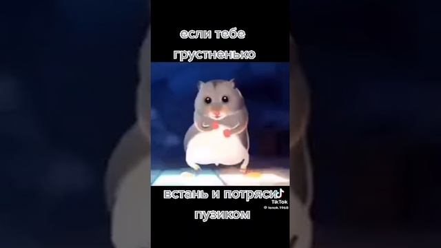 встань и потряси пузиком