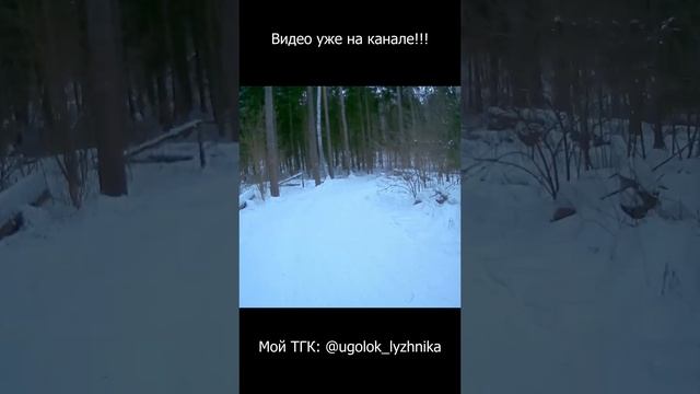 Гонка памяти друзей г. Электросталь