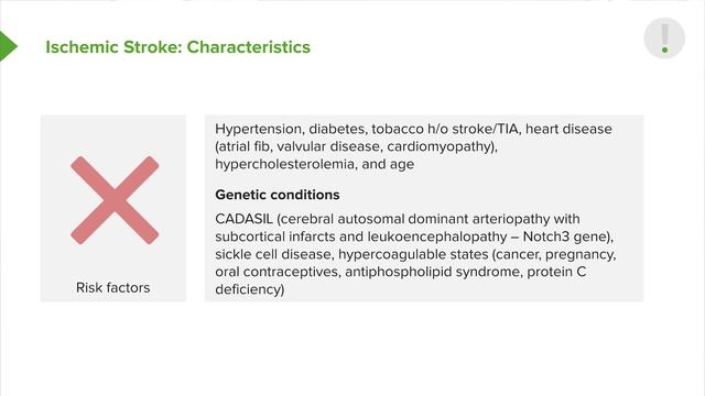 03. Ischemic Stroke Characteristics