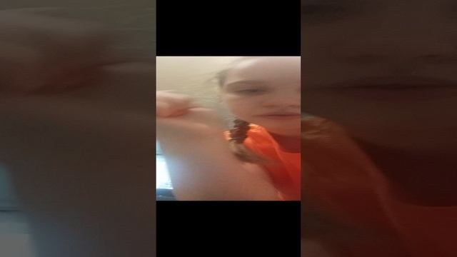 Обзор моих сквишев