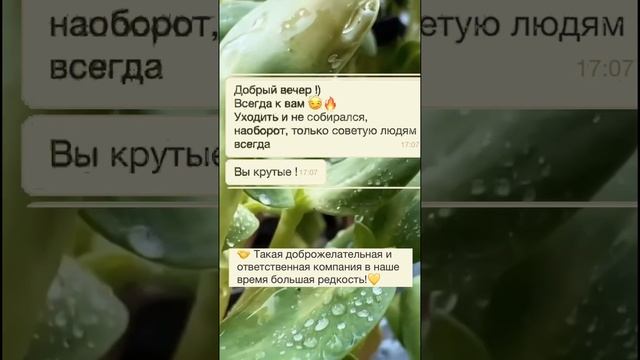 Приятно получать Отзывы клиентов