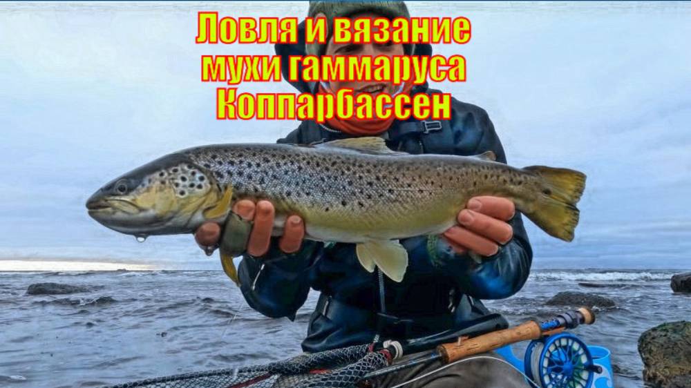 Ловля и вязание мухи гаммаруса Коппарбассен