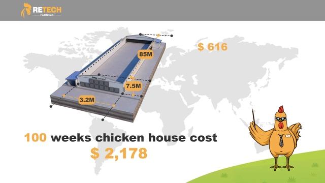 How much does it cost to raise 10000 layer chickens in China?- RETECH Farming Chicken Cage