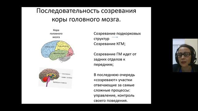 Учет основных закономерностей психофизиологического развития детей в образовании