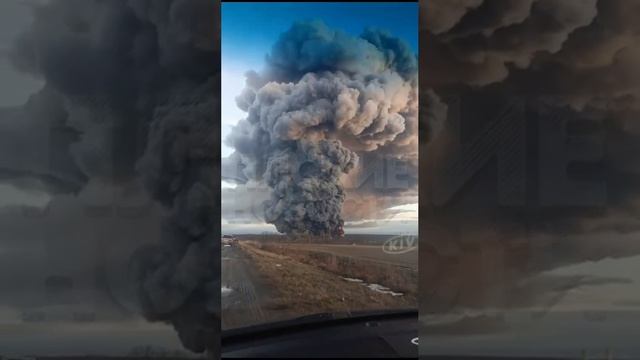 В Курской области ВСУ атаковали дронами предприятие «Черкизово Куриное Царство