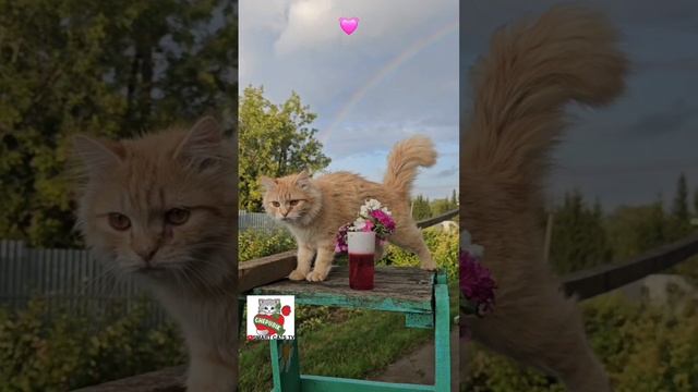 Храни Господь родных и сердцу близких согрей теплом  😇🌈💓🙏😻