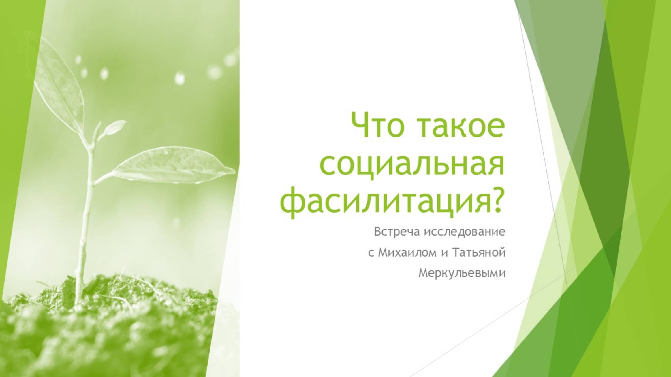 Что такое социальная фасилитация. Встреча исследование