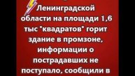 В Ленинградской области на площади 1,6 тыс квадратов горит здание в промзоне