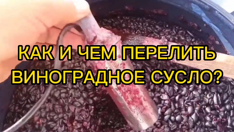 КАК И ЧЕМ ПЕРЕЛИТЬ ВИНОГРАДНОЕ СУСЛО?