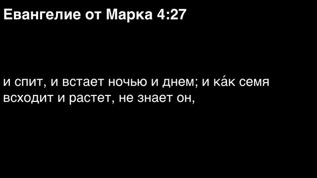 День 290. Библия за год. Библия за год. С митрополитом Иларионом.