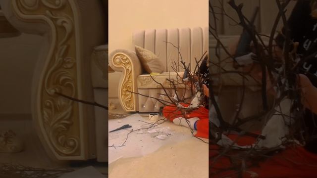 Откуда #корона?) #Самисделали #самисусами #магиякино #художники #нагадала #backstage #новаяпесня