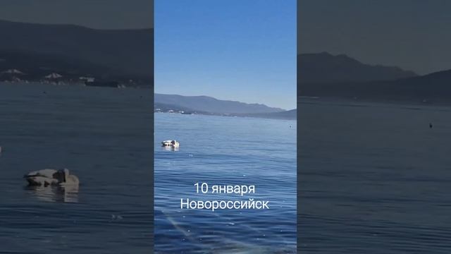 Новороссийск.