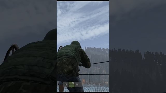 Леееетииии - DayZ #dayz #дейз #shorts