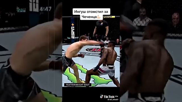 UFC зрелище