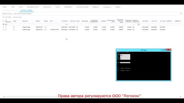 Перемещения и/или Размещение на складе / Move & Putaway Infor WMS 10.3