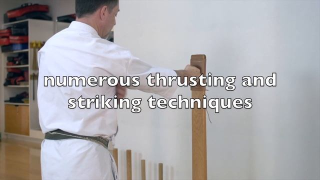 Makiwara Training System