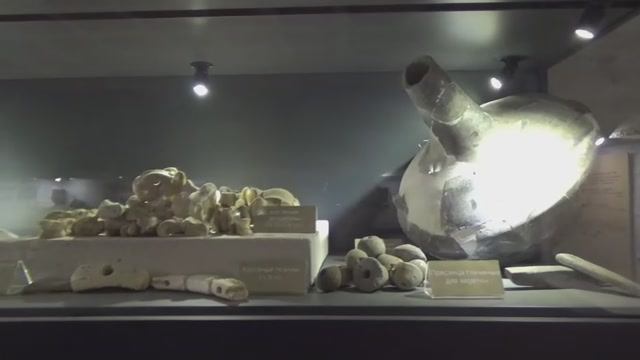 Астрагалы Неаполя Скифского