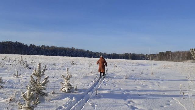 прогулка на лыжах (охотник)