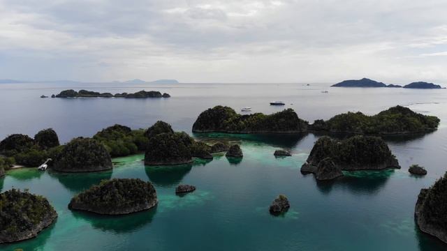 Raja Ampat 2019 on White Manta