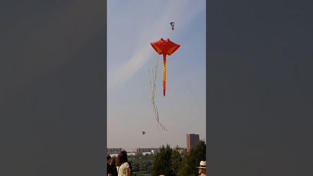 Фестиваль воздушных змеев Пестрое небо в Царицыно