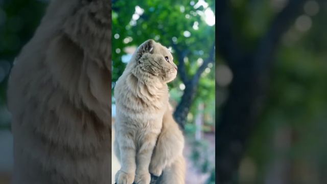 ❤️like и подписаться !