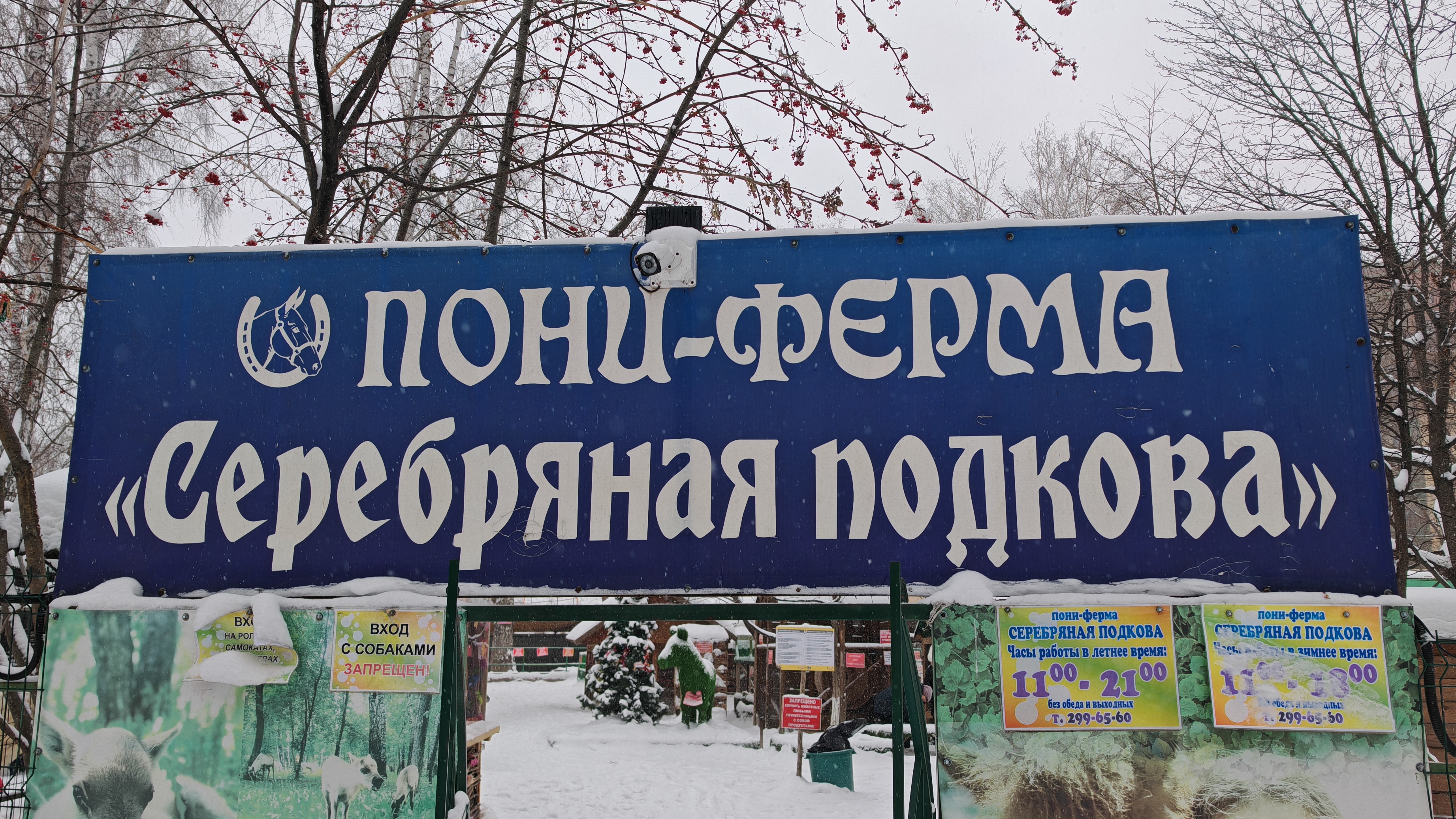 Зимние забавы в парке Берёзовая роща ❄️