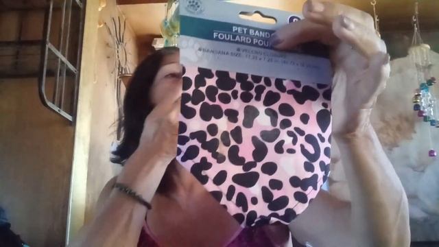 Huge Dollar Tree Haul / Must See / Come Hang Out with Me