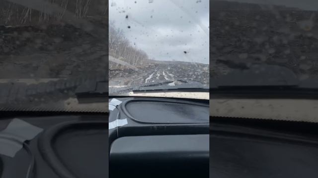 Весенние забавы...