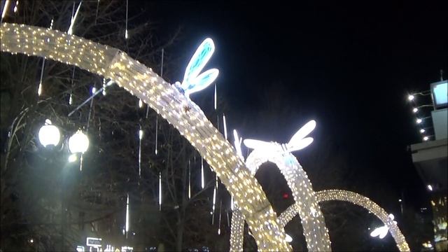 КРАСНОДАР РОЖДЕСТВЕНСКИЙ - КРАСОТА И СВИНСТВО