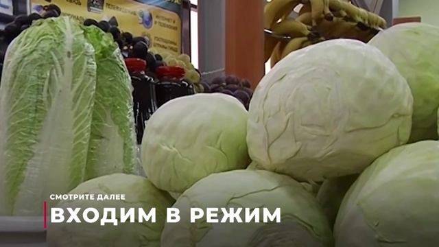 Выпуск новостей 10.01.2025